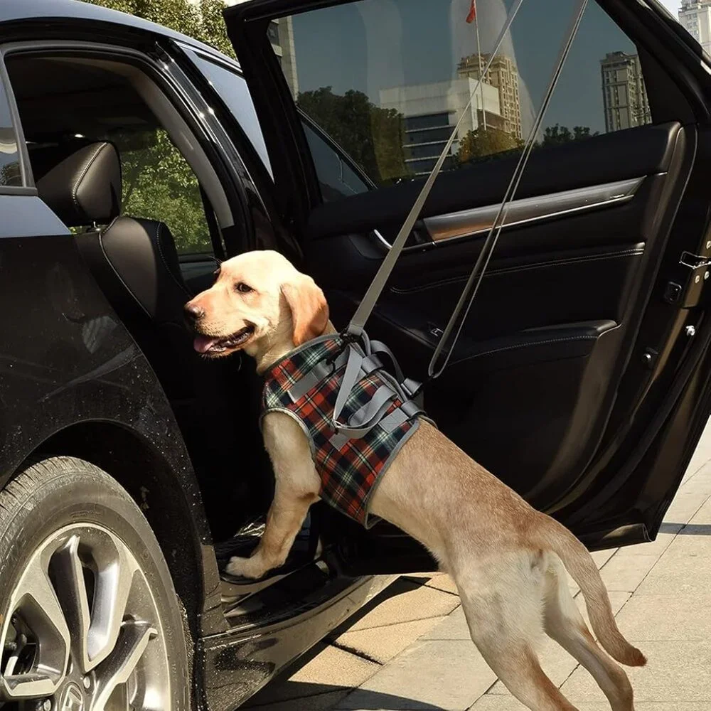 Dog Lift Harness, Grid Pet Chest Support Aid Veterinarian Approved